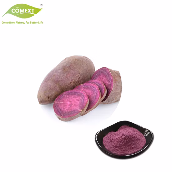 Wholesale Purple Sweet Potato Powder Vegetable Powder Purple Sweet Potato Extract Powder
