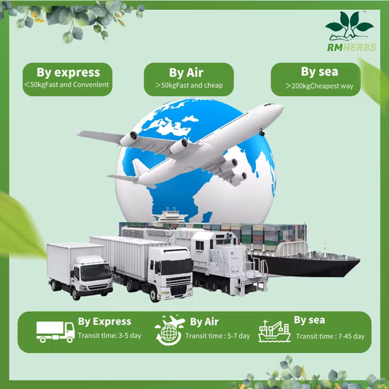 Wholesale Natural Factory Price Vegetable Fruit Red Beet Root Extract Powder